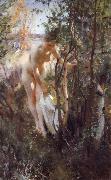 Anders Zorn Unknow work 88 France oil painting artist